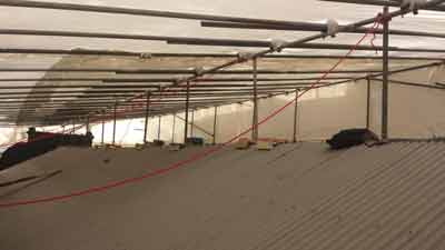all-scaffolding-auckland-roof-weather-protection-4